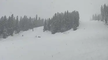 Karla kaplı Ilgaz Dağı manzarası