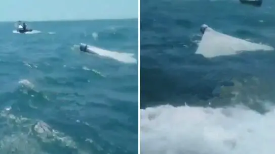 Düşürülen ABD kamikaze dronu