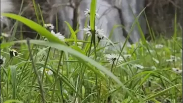 Aladağ şelalelerinin yoğun yağış sonrası görüntüsü