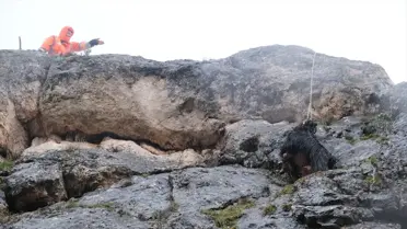 Kurtarılan keçinin fotoğrafı