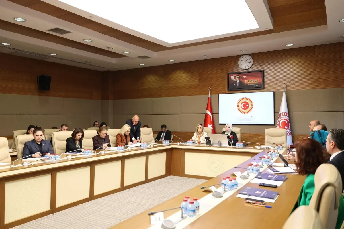 Kadına Yönelik Şiddet Raporunda Koruma Kararı Boşluğu ve Çözüm Önerileri