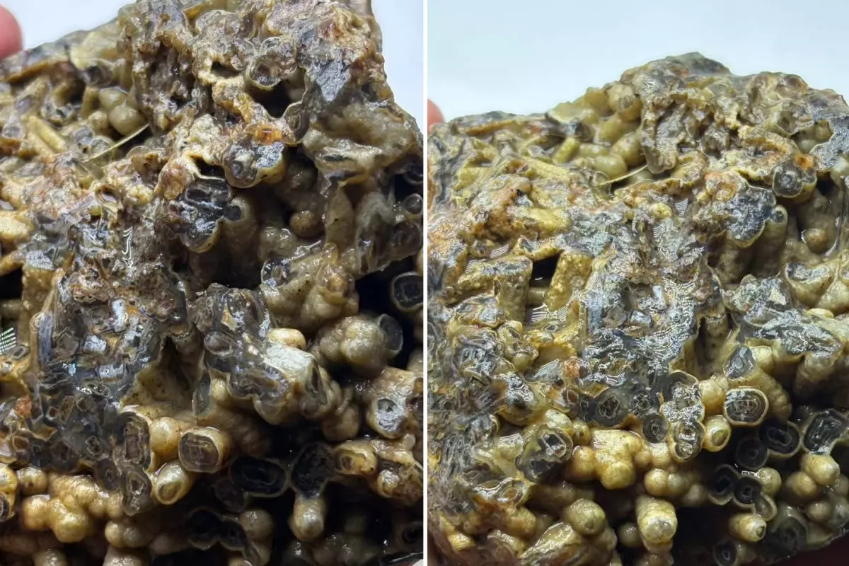 Kütahya’da Bulunan Sıradışı Taş 50.000 TL’ye Satışa Çıktı