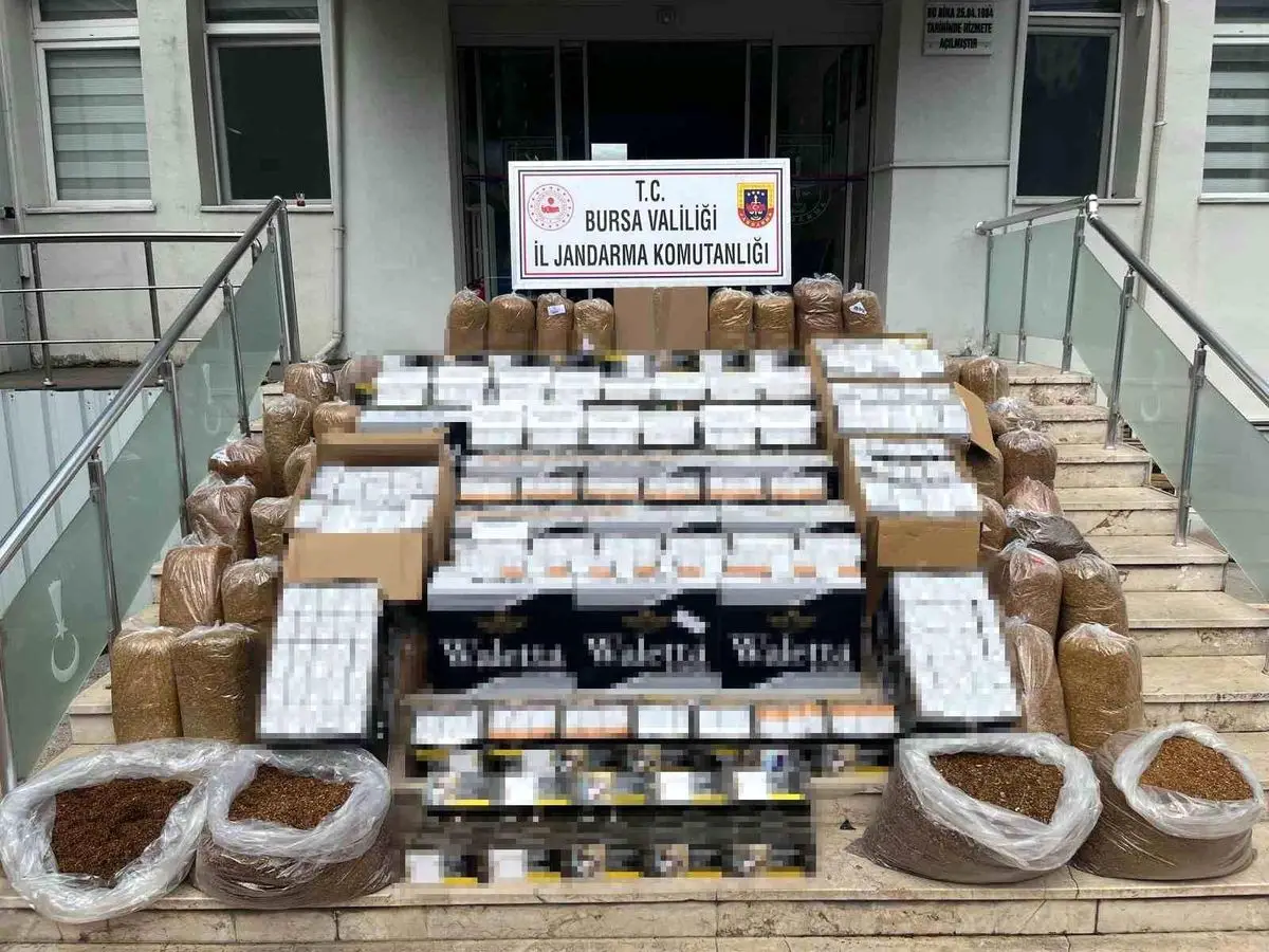 Bursa’nın Gemlik İlçesinde Kaçak Tütün Operasyonu: 205 Bin Makaron Ele Geçirildi