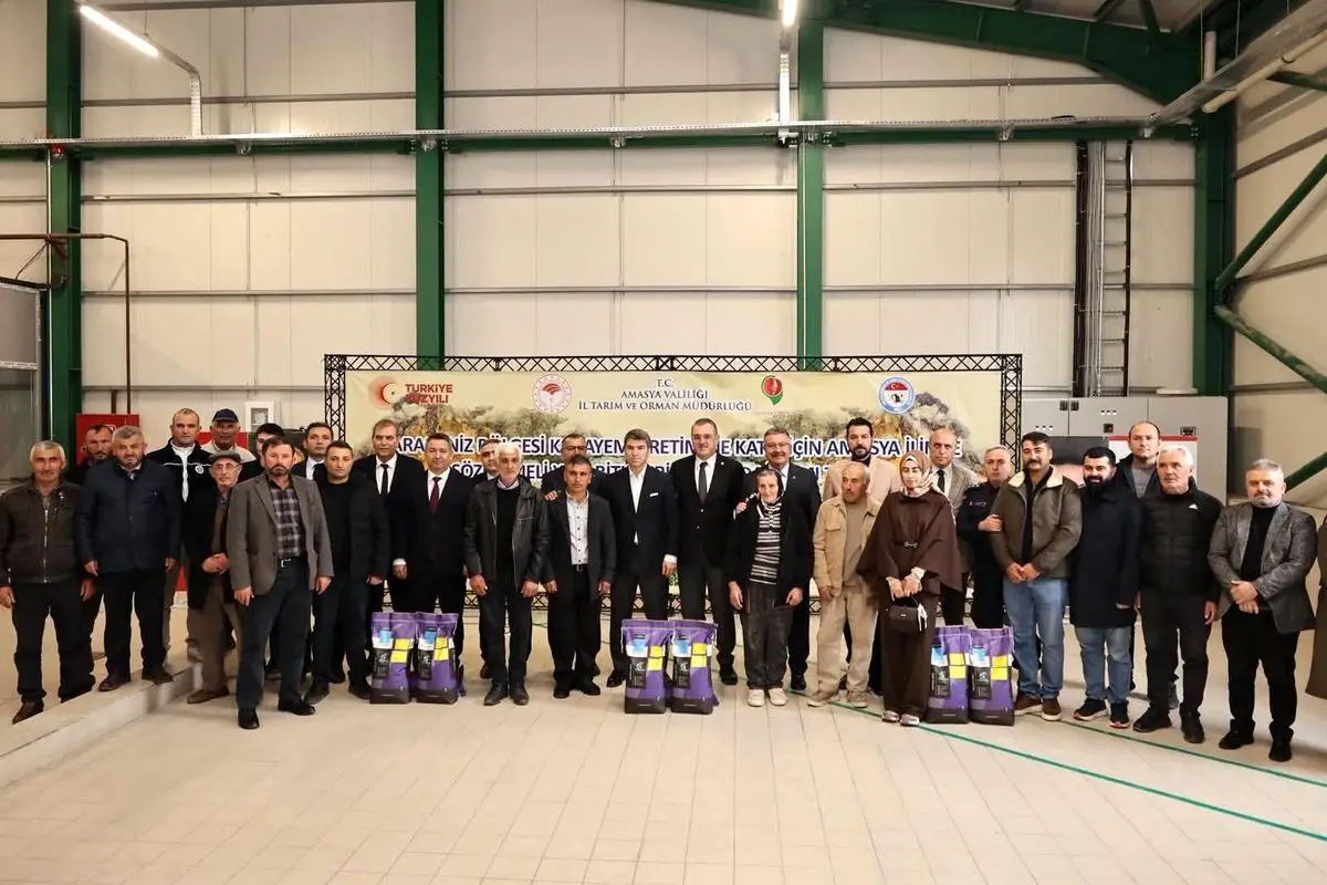 Amasya’da Çiftçilere 16 Bin Kilo Yonca Tohumu Hibe Edildi, Tarım Destekleri Artıyor