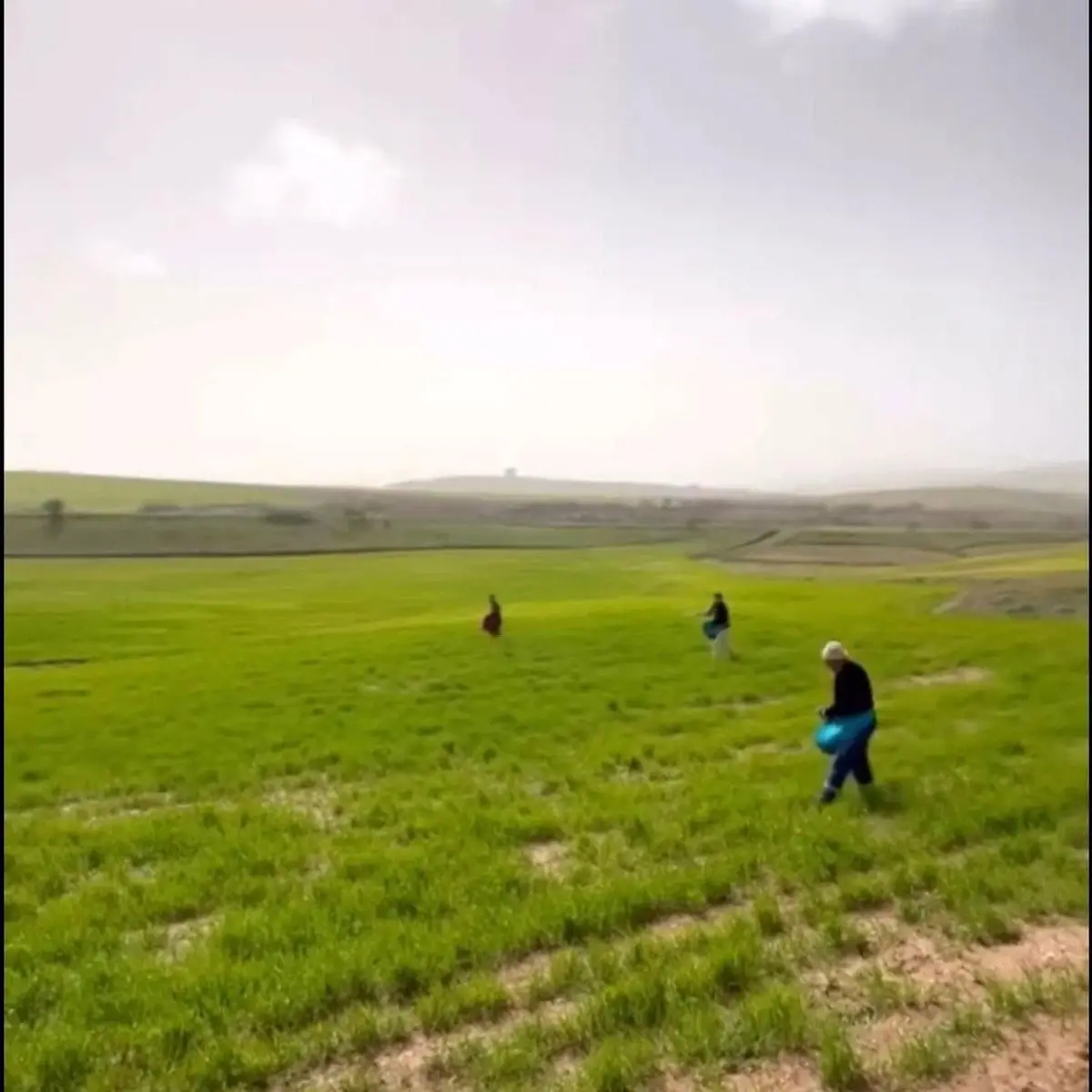 Siirt’te Şiddetli Yağışlar Çiftçileri Geleneksel Gübreleme Yöntemlerine Zorladı