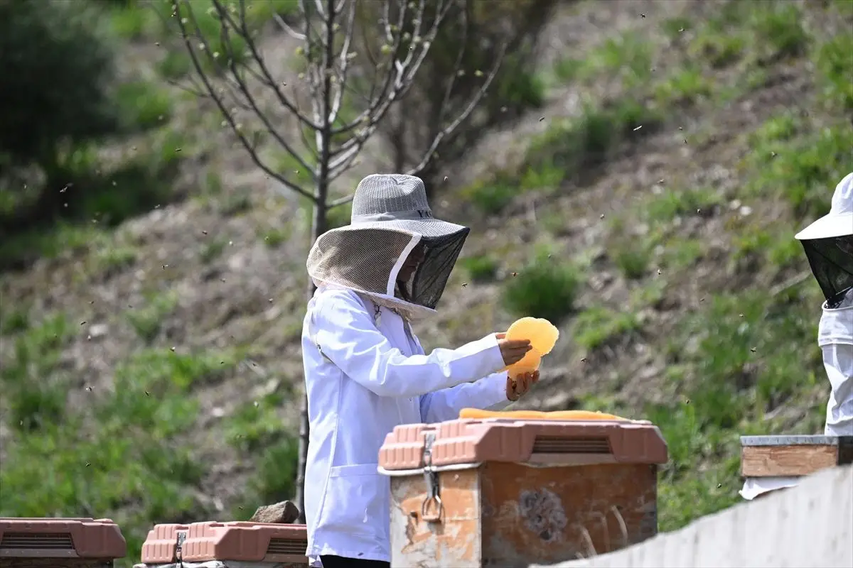 Türkiye, 2027 Arıcılık Olimpiyatları’nın Ev Sahibi Olacak ve 48 Ülkeyi Ağırlayacak
