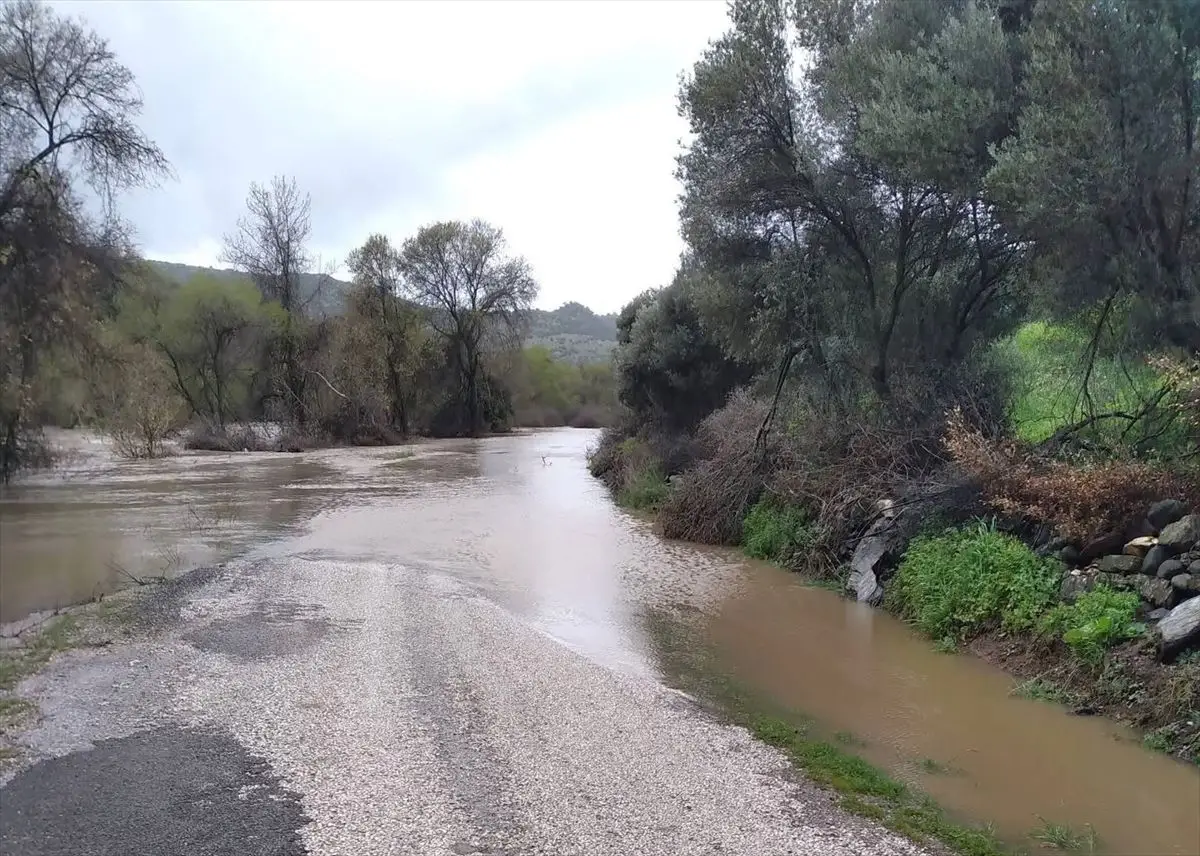 Ayvacık’ta Şiddetli Sağanak Tarım ve Ulaşımı Etkiliyor