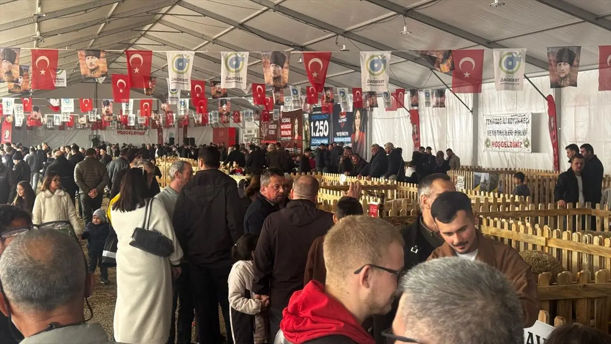 Küçükbaş Hayvanlarda Stres: Verim Kaybının Önlenmesi İçin Uzman Tavsiyeleri