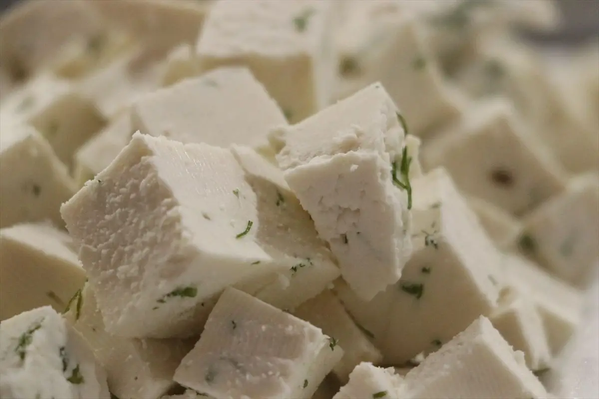 Tekirdağ’da Feray Zambak’ın Keçi Peyniri Yarışmasını Birinci Tamamladı