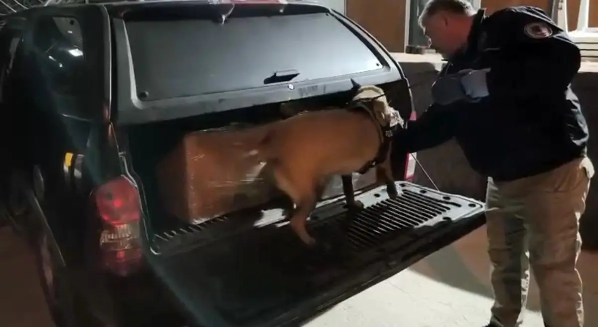 Samsun’da Büyük Uyuşturucu Operasyonu: 165 Bin Hap ve 42 Kg Bonzai Ele Geçirildi