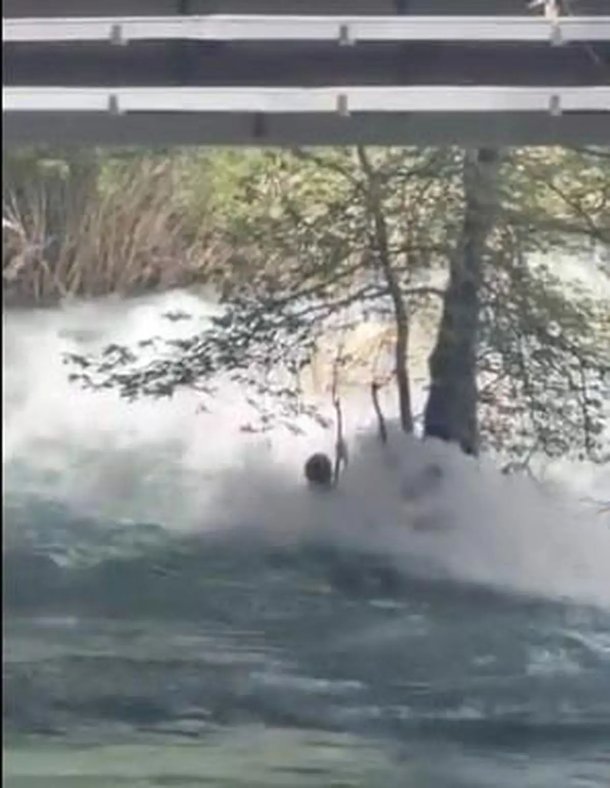 Tarsus’ta 17 Yaşındaki Genç, Berdan Irmağı’na Atladıktan Sonra Kayıp: Son Görüntüler Açığa Çıktı