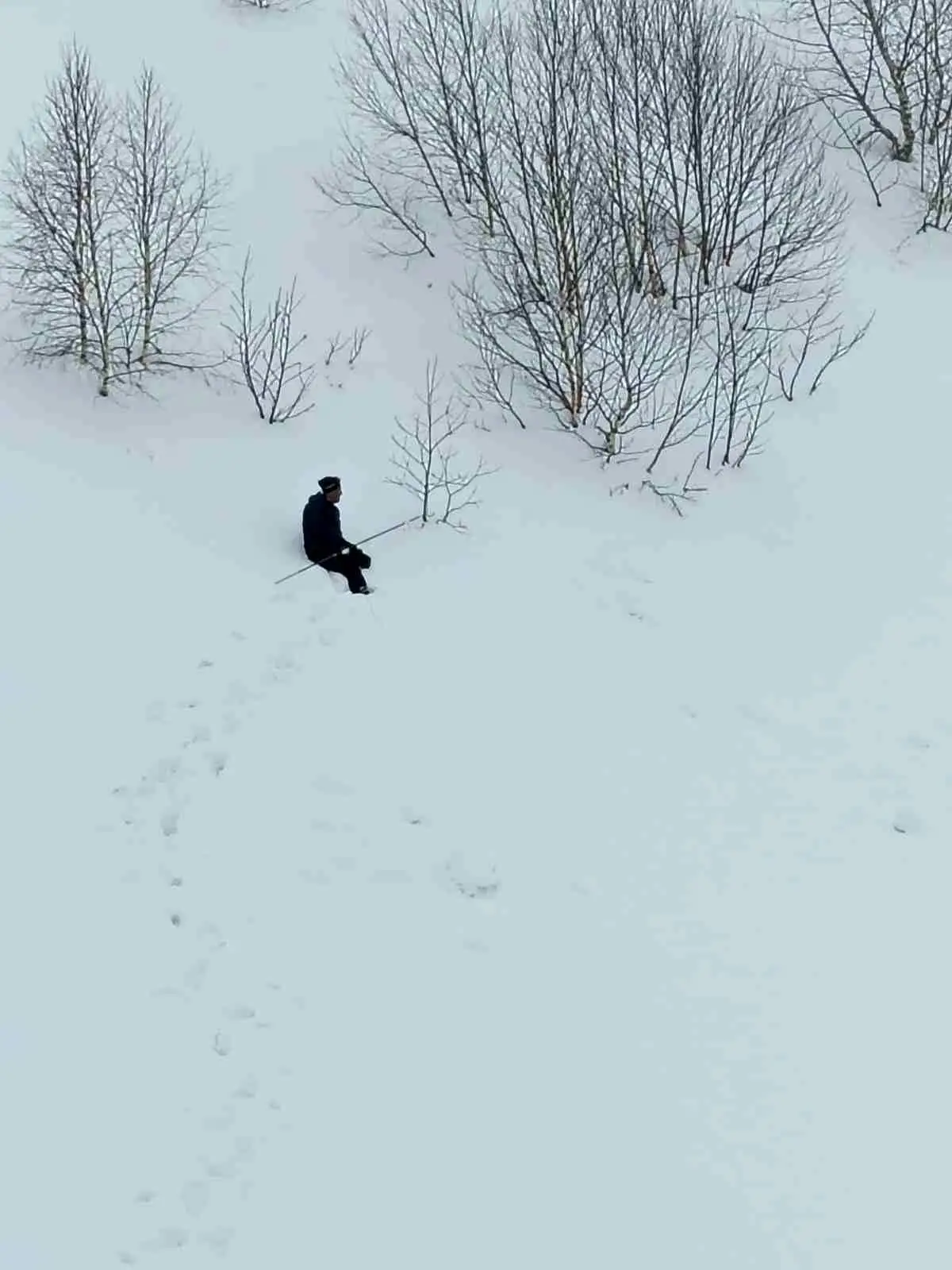 Artvin'de 95 Gün Sonra Çığ Felaketi: Kayıp Çobanın Arama Çalışmaları Durdu