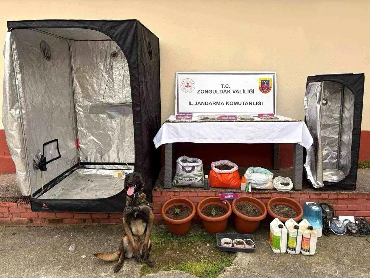 Zonguldak Çaycuma'da Jandarma Uyuşturucu Operasyonu: 3 Gözaltı, 2 Tutuklama