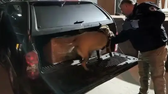 Operasyon sırasında ele geçirilen maddeler