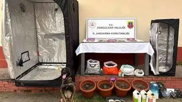 Zonguldak Çaycuma'da Jandarma Uyuşturucu Operasyonu: 3 Gözaltı, 2 Tutuklama