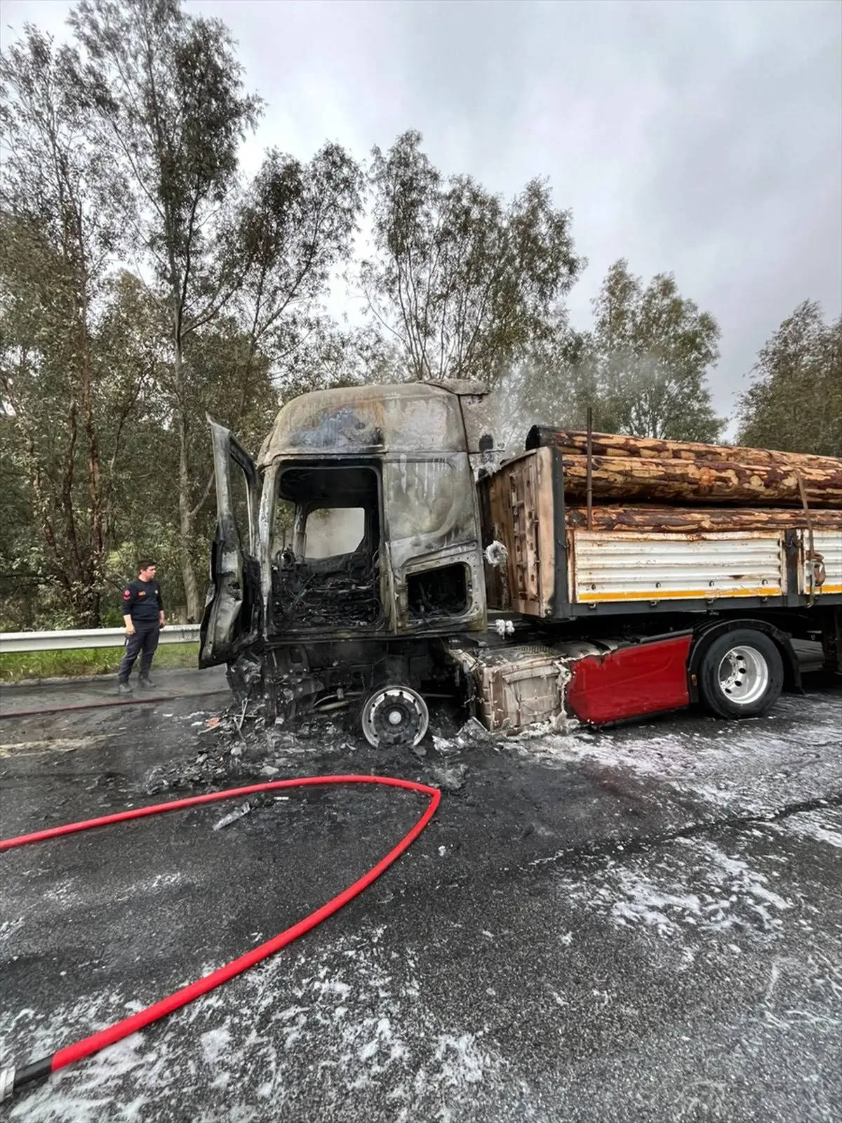 Aydın-İzmir Otoyolu'nda Tır Yangını Kontrol Altına Alındı