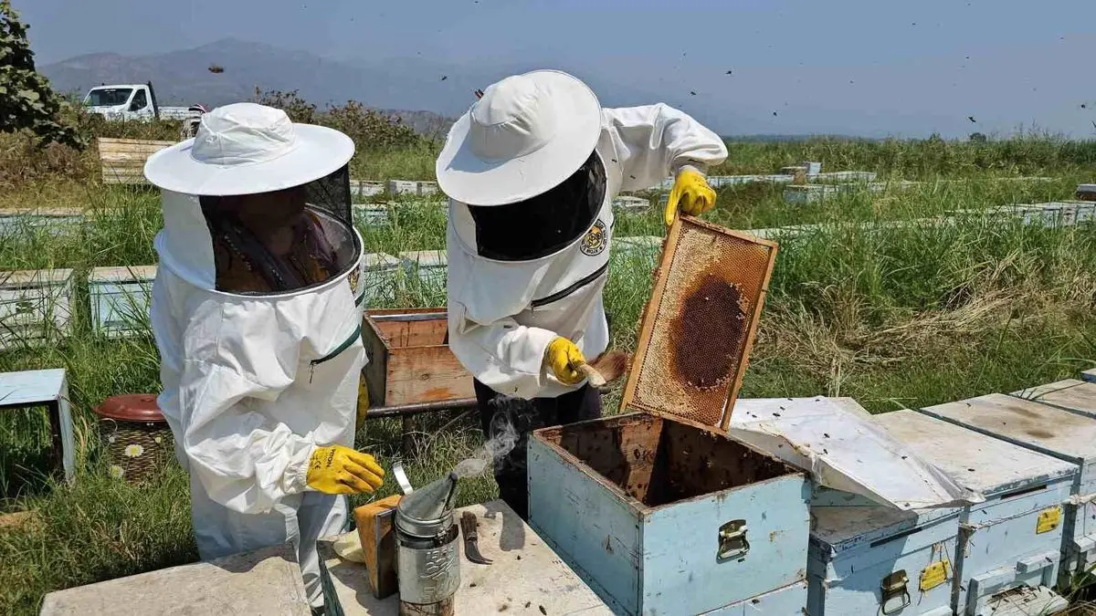 Kuyucak’ta Yenilikçi Arı Kovanları Global Pazarı Hedefliyor