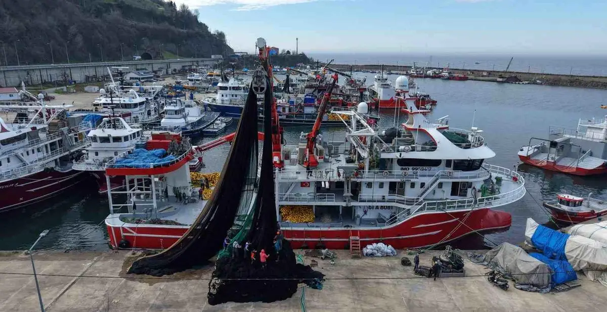 Trabzon’da Balıkçılar Hamsi Şöleninin Ardından Palamut Krizisi ve Tuna Hazırlıklarıyla Karşılaşıyor