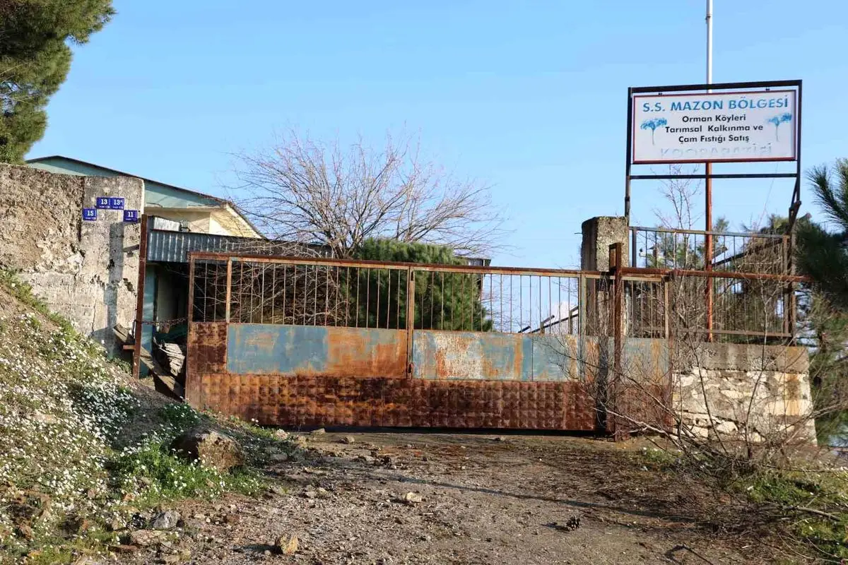 Mazon Tarımsal Kalkınma Kooperatifi'nde Yatırımlar Boşa Gitti: Umutlar Kapanıyor