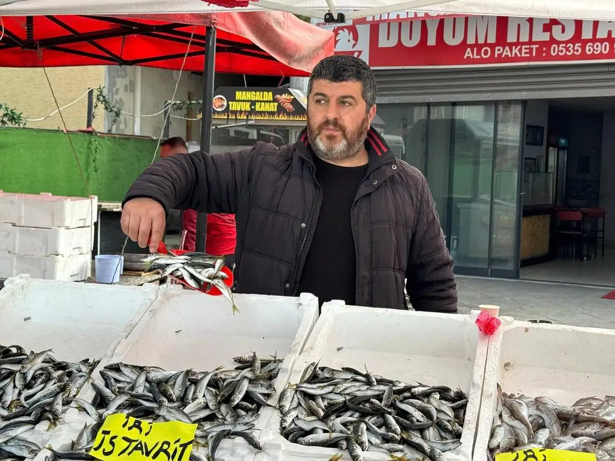 Zonguldak'ta İstavrit Fiyatları Rekor Kırdı: 100 Liraya Satılıyor