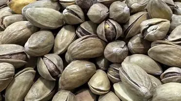 Fıstık ihracatını gösteren harita