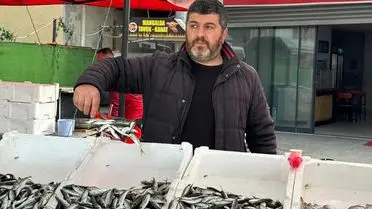 İstavrit tezgahlarda sergileniyor