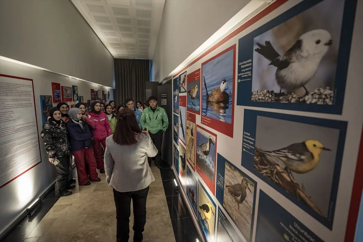 Erzurum Biyoçeşitlilik Müzesi’nde 88 Tıbbi Bitki ve Nesli Tehlikede Kuşlar Sergileniyor