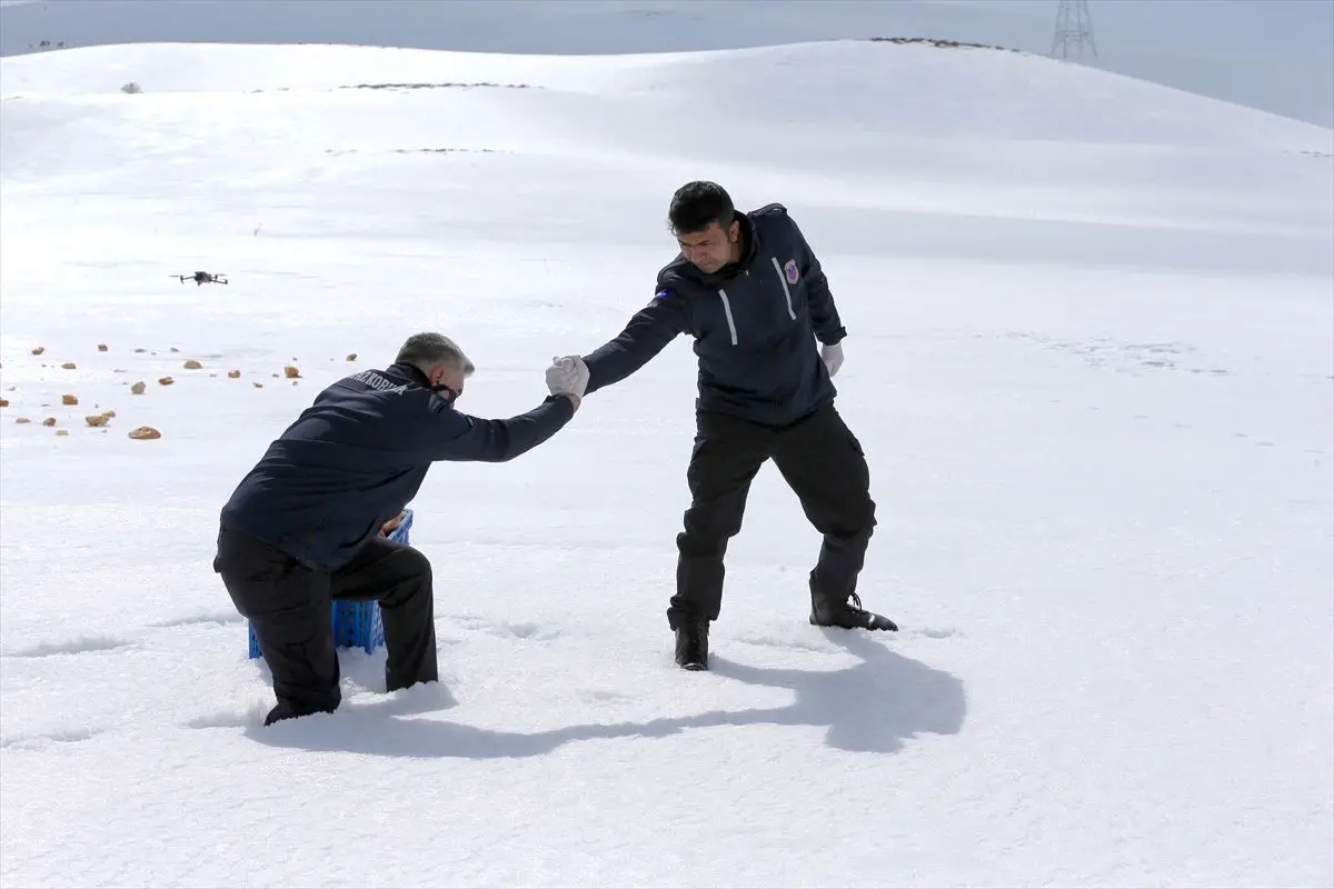 Erzurum’da Kışın Yaban Hayvanlarına Yardım: Koruma Memurları Ekmek Kırıntıları Bırakıyor