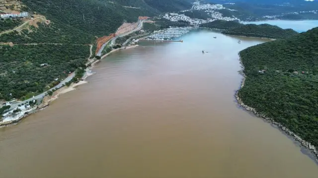 Deniz kenarında yürüyen turistler