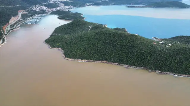 Temizlenmeye çalışan sahil