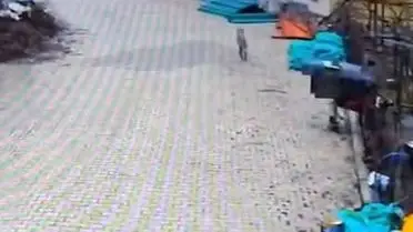 Kurtun yiyecek ararken güvenlik kamerasına yansıyan an