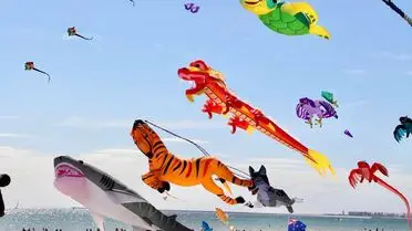 Festivalde uçurtma gösterisi