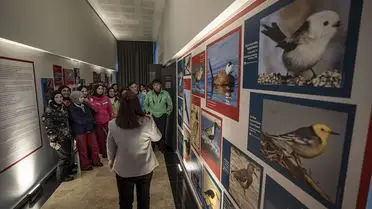 Tıbbi bitkilerden bir tanesi