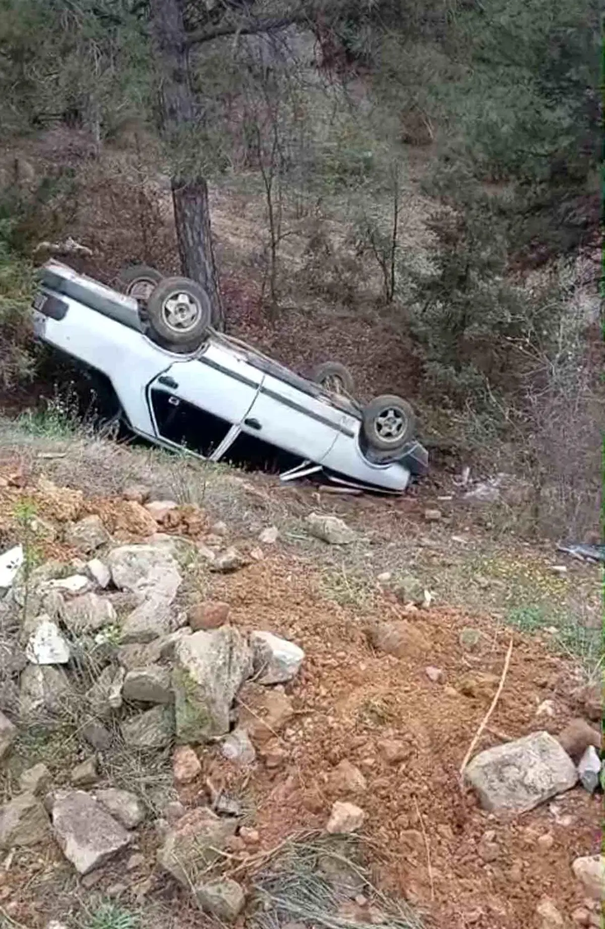 Kastamonu Taşköprü'de Otomobil Kazası: Tek Kişi Hafif Yaralı