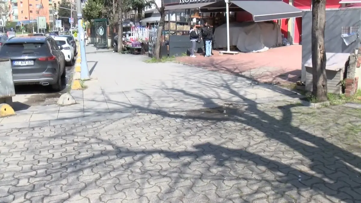 Kadıköy'de Kargo Teslimatı Sırasında 15 Yaşındaki Pakize Köpek Trafik Kazasıyla Hayatını Kaybetti