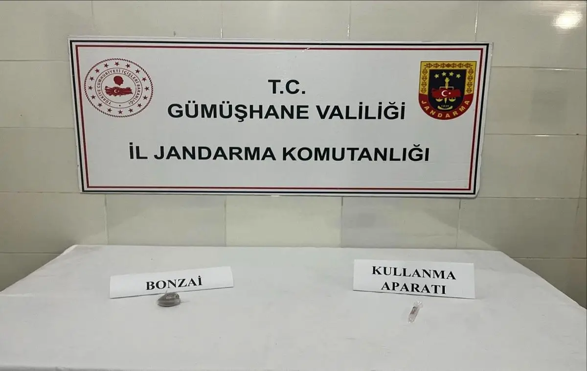 Şiran'da Jandarma, 15 Gram Bonzai Ele Geçirdi