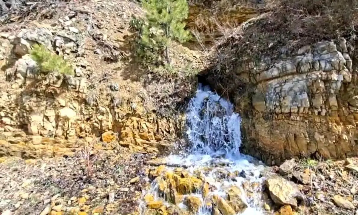 Adana’da Kuruyan Su Kaynağı Üç Yıl Sonra Yeniden Akmaya Başladı