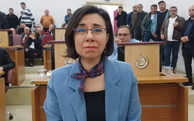 Meclis oylama sahası