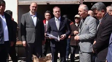 Ayçiçeği tohumu paketleri