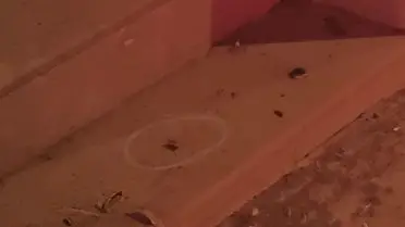 Kars'ta çekicilerin kurşunlanma anı