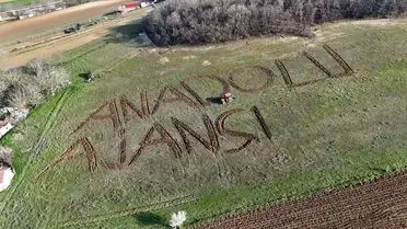 Tarlada yazılı kutlama mesajı