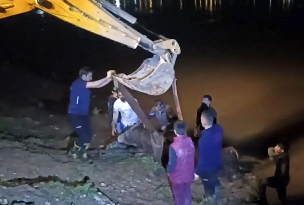 Cizre'de Dicle Nehri'ne Düşen İnek, İtfaiye İş Makinesiyle Kurtarıldı