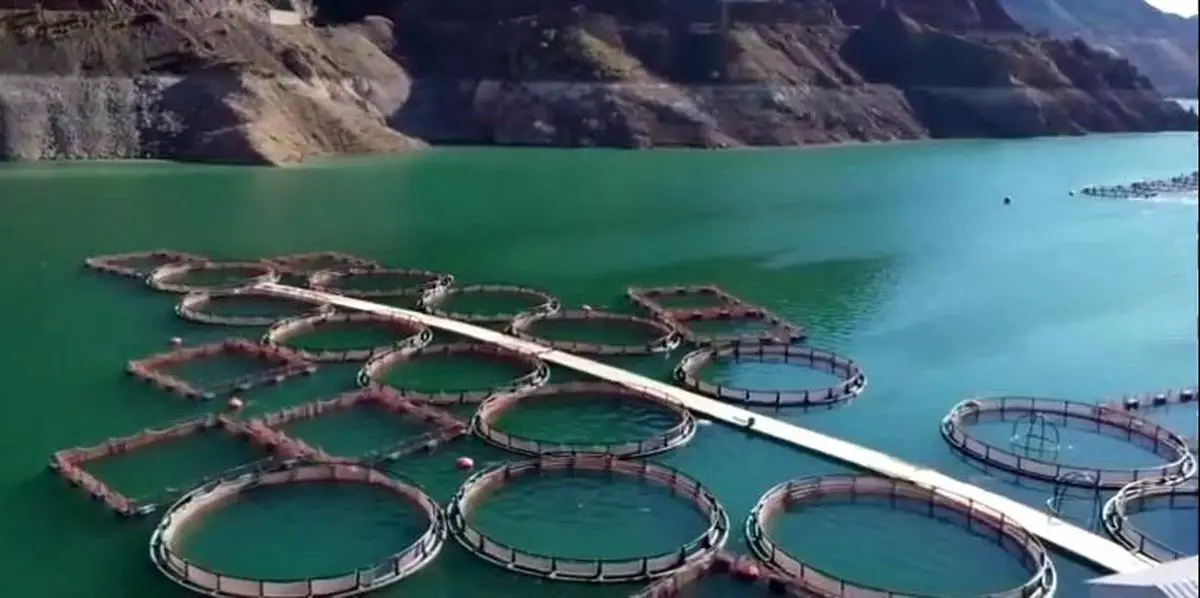 Erzurum’da Tarım ve Kırsal Kalkınma İçin 3,38 Milyar TL Destek Paketi Açıklandı