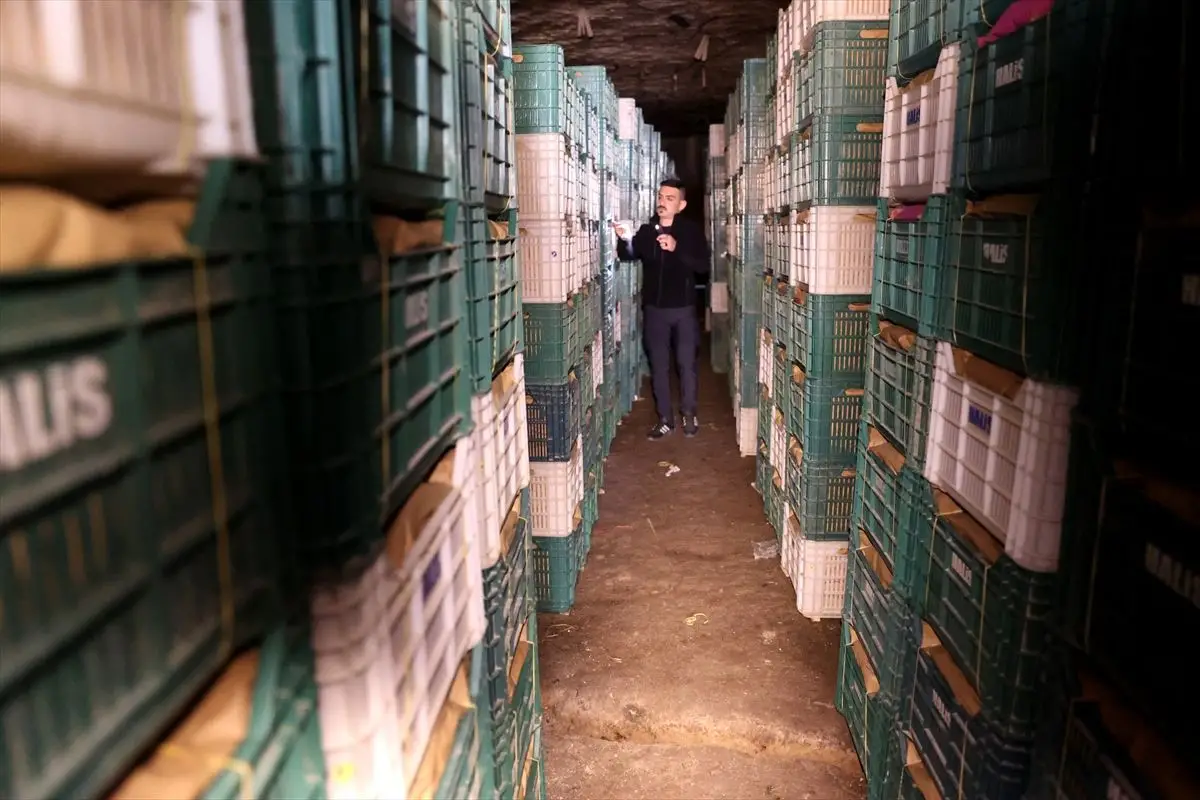 Kapadokya’nın Sıradışı Limon Depoları: Ortahisar’da Yatak Limonlar