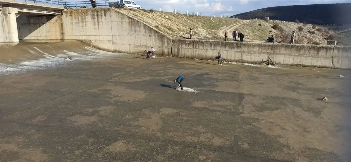 Sandıklı’da Baraj Taşmasıyla Gelen Sürpriz: Vatandaşlar Balık Avladı