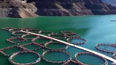 Erzurum’da Tarım ve Kırsal Kalkınma İçin 3,38 Milyar TL Destek Paketi Açıklandı