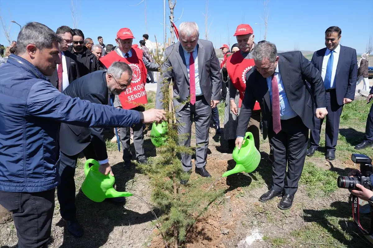 AYBÜ Esenboğa Külliyesi’nde 2 Bin Fidanla “Bal Ormanı” Projesi Başladı