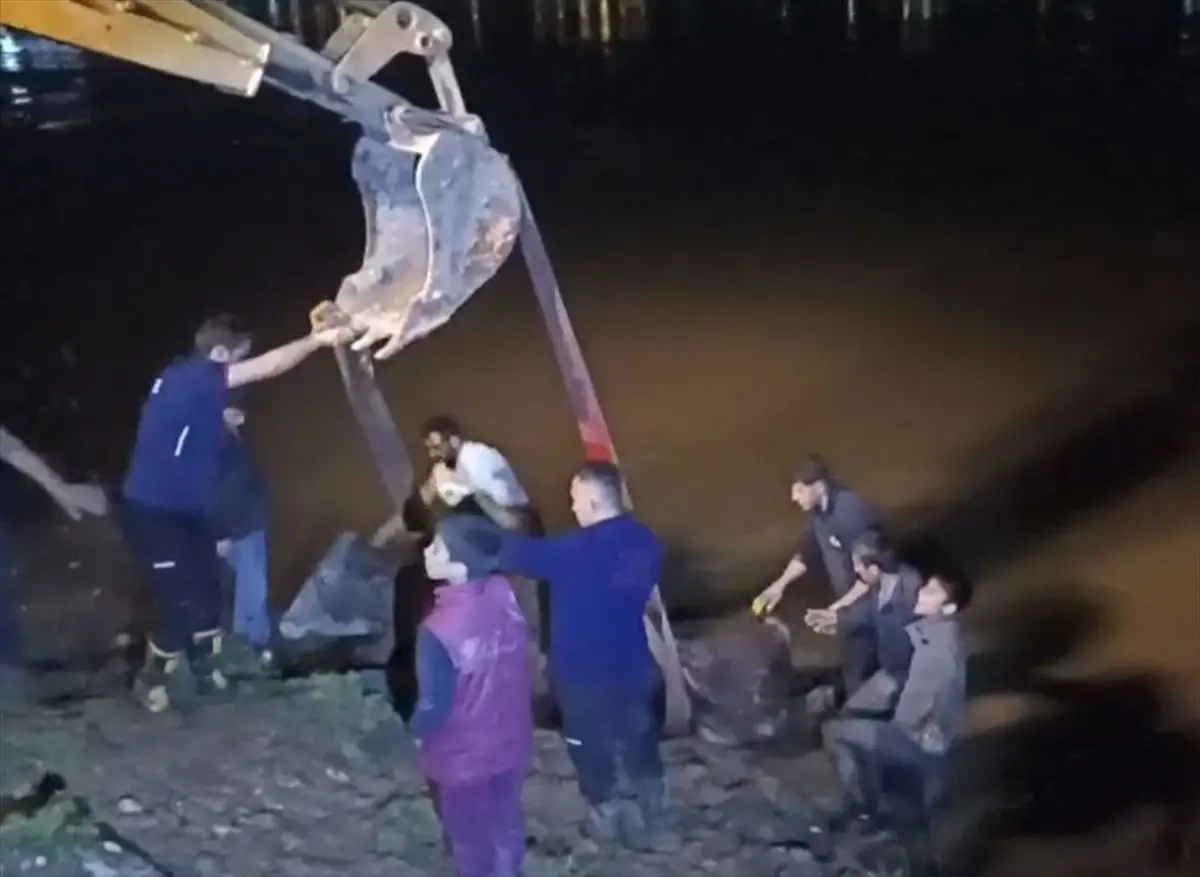 Cizre'de Nehirde Sıkışan İnek, İş Makinesi ve İtfaiye Ekiplerinin Çabasıyla Kurtarıldı