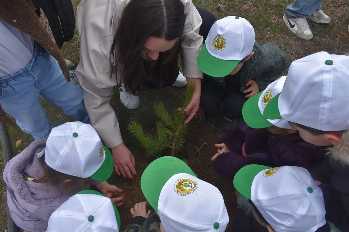 Kelkit’te ‘Türkiye’nin Gücü Orman’ Fidan Dikimiyle Yeşil Gelecek Kutlandı
