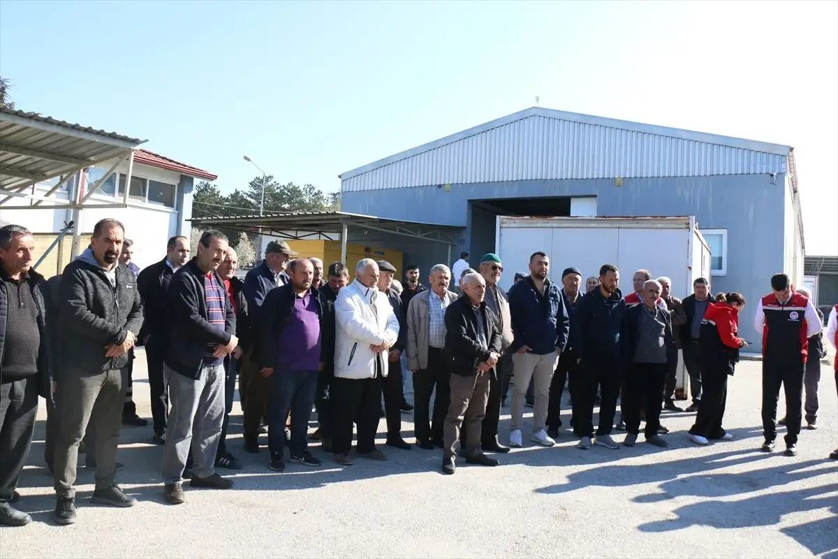 Çorum Tarım Müdürlüğü’nden 2.100’den Fazla Çiftçiye Nohut ve Ayçiçeği Tohumu Hibe